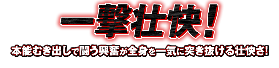 一撃壮快！